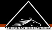 The Brandon Group Logo